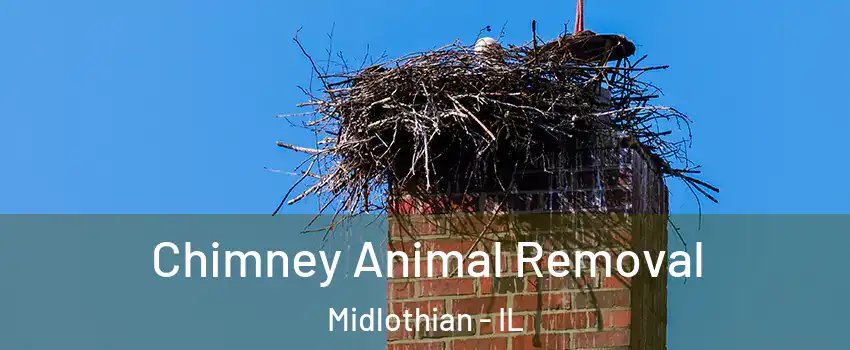 Chimney Animal Removal Midlothian - IL