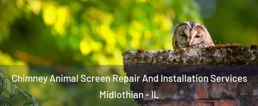  Chimney Animal Screen Repair And Installation Services Midlothian - IL