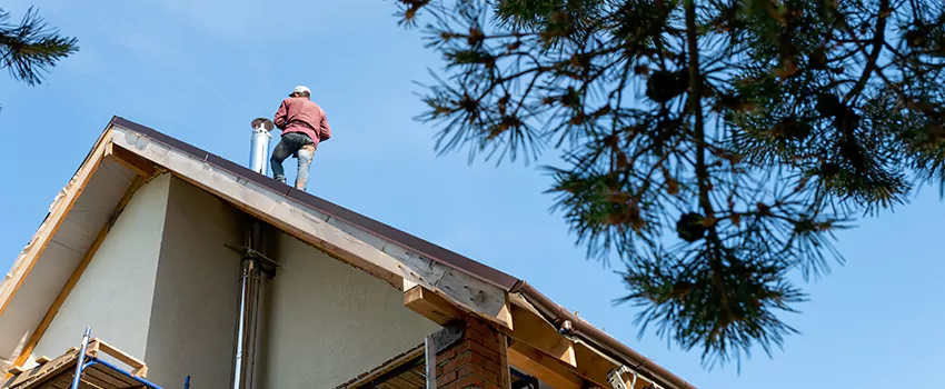 Birds Removal Contractors from Chimney in Midlothian, IL
