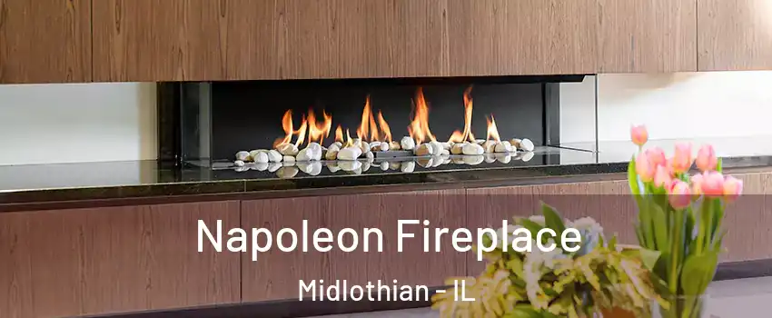  Napoleon Fireplace Midlothian - IL